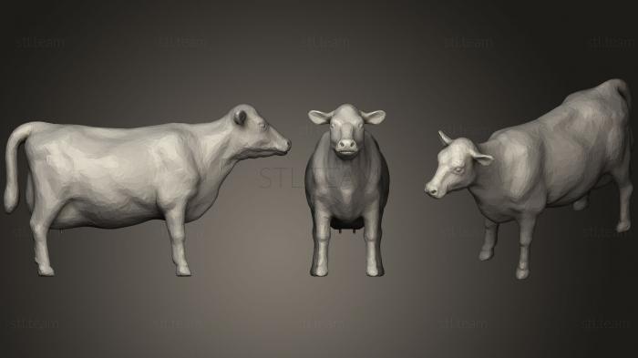 3D модель Коровье вымя (STL)